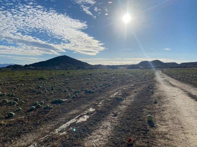 Terreno en venta en Cuevas del Almanzora, ALIFRAGA photo 0