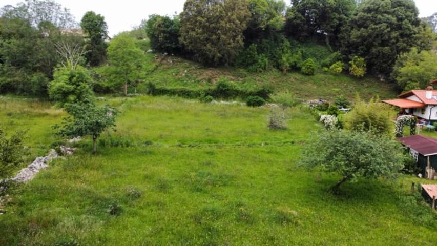 Terreno en venta en Ribadesella, Área de Ribadesella photo 0