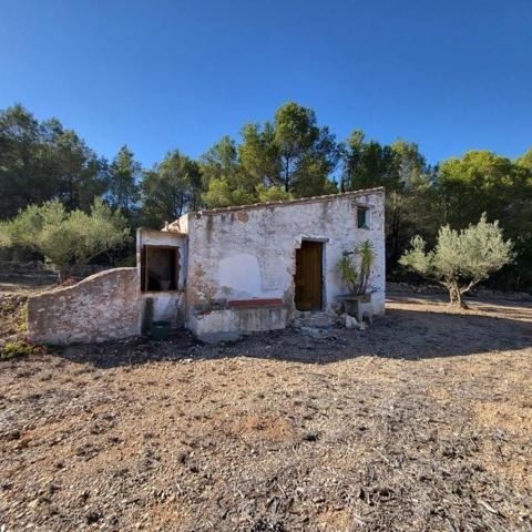 Chalet en venta en L'Ametlla de Mar, Afueras del pueblo photo 0