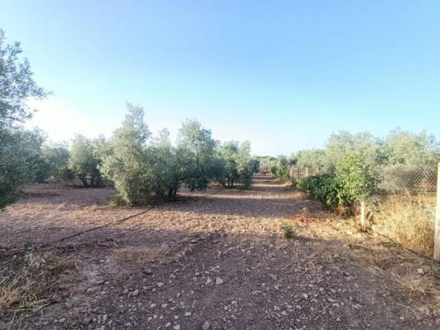 Chalet en venta en Antequera, La Verónica - La Vega photo 0