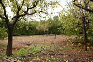 Terreno en venta en Chiva, Chiva photo 0