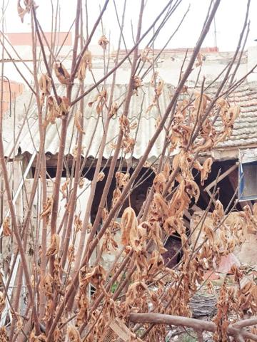 Casas de pueblo en venta en Javalí Viejo, Javalí Viejo photo 0