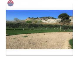 Terreno en venta en Peralta, Peralta photo 0