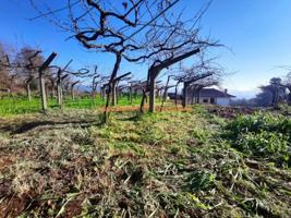 Terreno en venta en O Porriño, Petelos photo 0