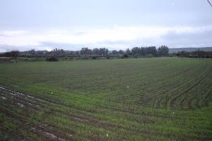 Terreno en venta en Aljucén, Aljucén photo 0