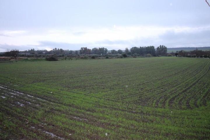 Terreno en venta en Aljucén, Aljucén photo 0