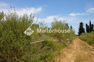 Chalet en venta en Muro, Centro photo 0