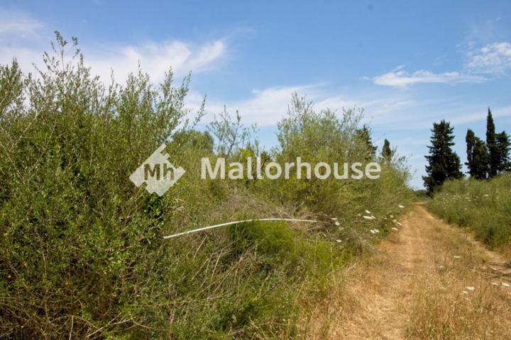 Chalet en venta en Muro, Centro photo 0