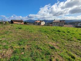 Terreno en venta en O Porriño, Millaras tameiga, 36416 photo 0