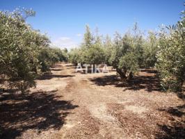Terreno en venta en Ontinyent, Cami la Polvora photo 0