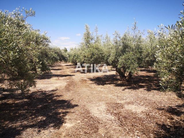Terreno en venta en Ontinyent, Cami la Polvora photo 0