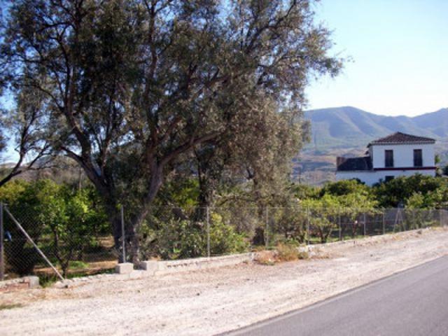 Terreno en venta en Piñar, Melegis photo 0