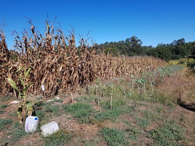 Chalet en venta en Sanxenxo, Sanxenxo playa photo 0