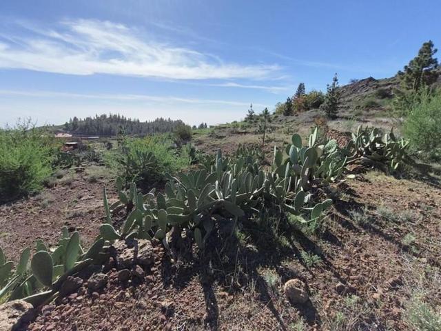 Terreno en venta en Vilaflor, Zona Centro photo 0
