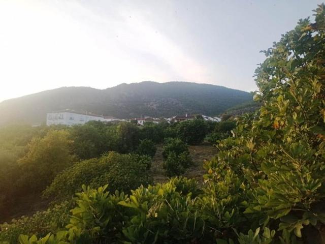 Chalet en venta en Algodonales, Afueras photo 0