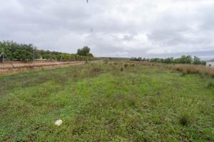 Terreno en venta en Alhaurín el Grande, Alhaurín el Grande photo 0