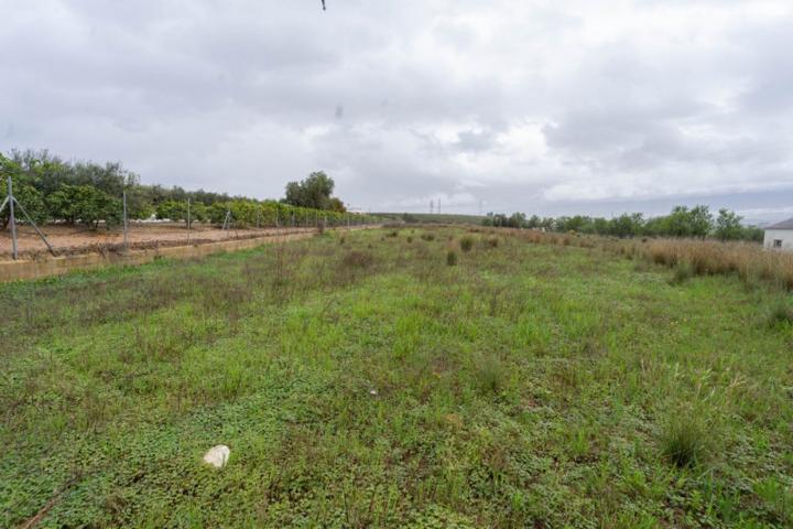 Terreno en venta en Alhaurín el Grande, Alhaurín el Grande photo 0