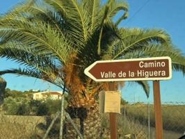 Terreno en venta en Mérida, San Andrés photo 0