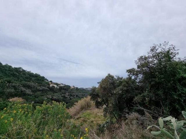 Terreno en venta en Lloret de Mar, La Selva photo 0