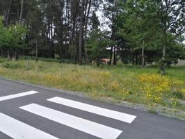 Terreno en venta en Teo photo 0