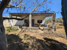 Terreno en venta en Ulldecona, Bassoles photo 0