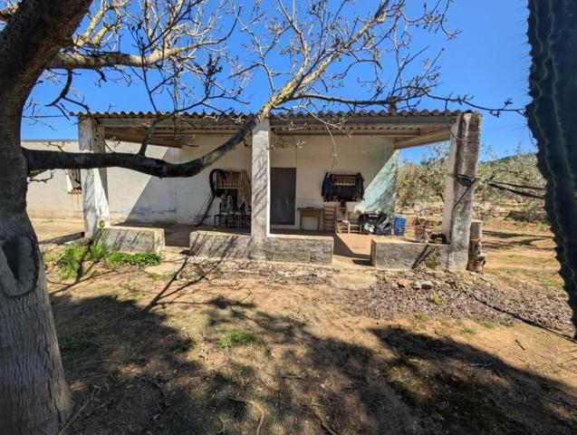 Terreno en venta en Ulldecona, Bassoles photo 0