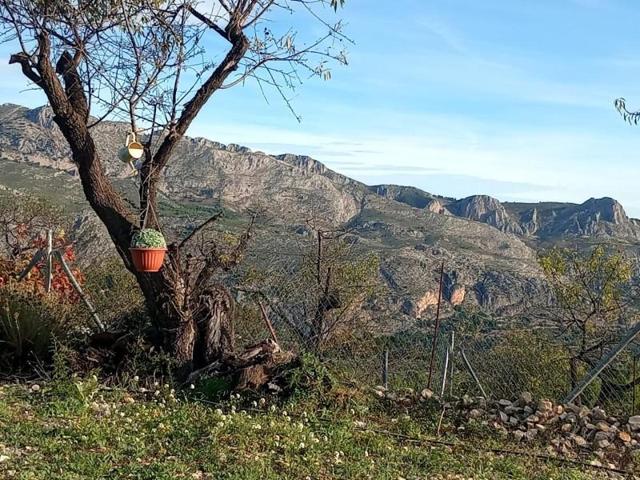 Chalet en venta en Benifato, Montaña photo 0