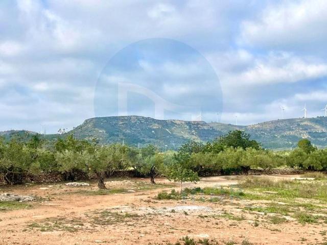 Chalet en venta en Camarles photo 0