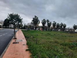 Terreno en venta en Casar de Cáceres, CASAR DE CACERES photo 0