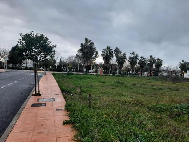 Terreno en venta en Casar de Cáceres, CASAR DE CACERES photo 0