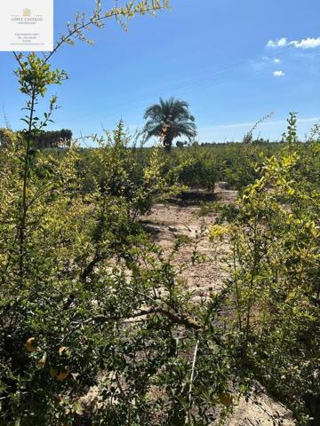 Terreno en venta en Matola, Matola - Campo photo 0