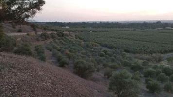 Terreno en venta en Sanlúcar la Mayor, Aljarafe photo 0