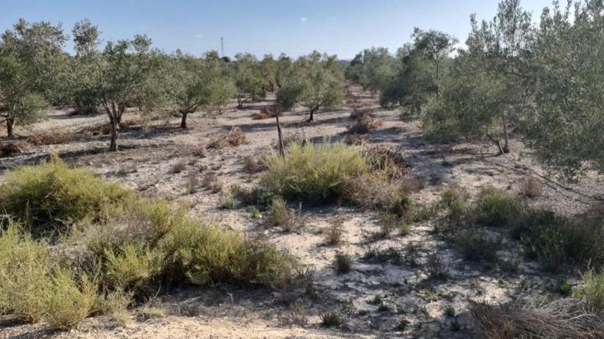 Chalet en venta en Monforte del Cid, Monforte de cid photo 0