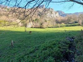 Casa en venta en Miera, Linto photo 0