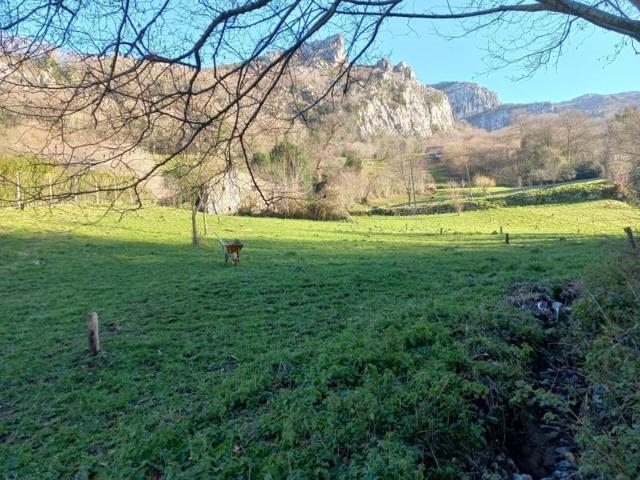 Casa en venta en Miera, Miera photo 0