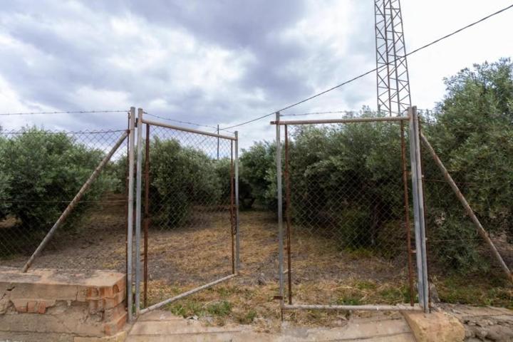 Terreno en venta en Rioja, Rioja centro photo 0