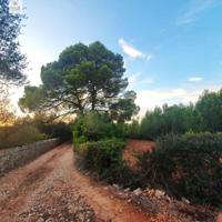 Terreno en venta en Santa Maria del Camí, SANTA MARÍA DEL CAMÍ photo 0