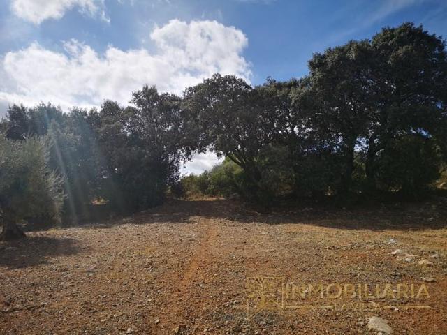 Terreno en venta en Alhaurín el Grande photo 0
