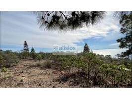 Terreno en venta en Arico, La Sabinita photo 0