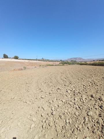 Terreno en venta en Alhaurín el Grande, Villafranco de Guadalhorce photo 0