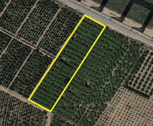 Terreno en venta en Santomera, Almazara photo 0