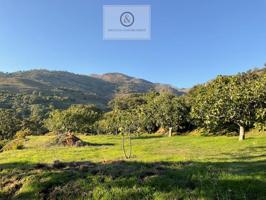 Chalet en venta en Candeleda photo 0