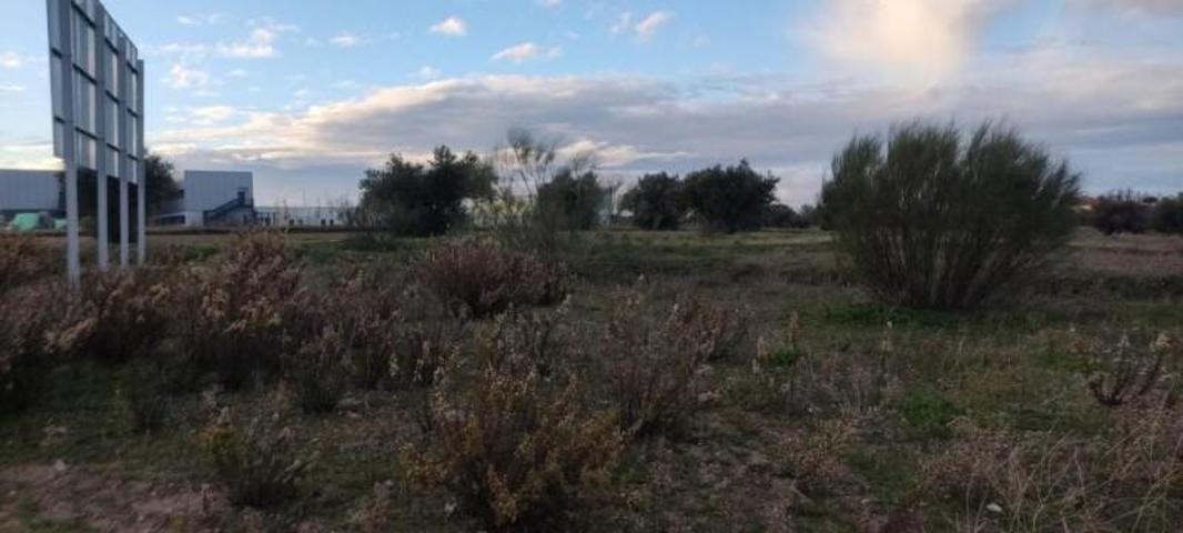 Terreno en venta en Yeles photo 0