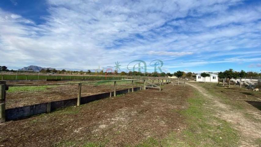 Chalet en venta en Almoradi, Almoradi-Algorfa photo 0