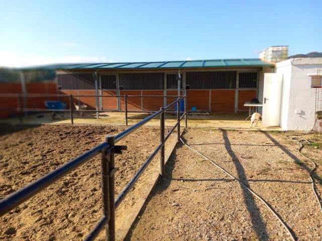 Terreno en venta en Jimena de la Frontera, South of spain photo 0