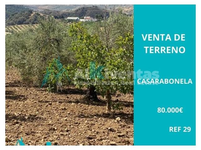 Terreno en venta en Casarabonela photo 0