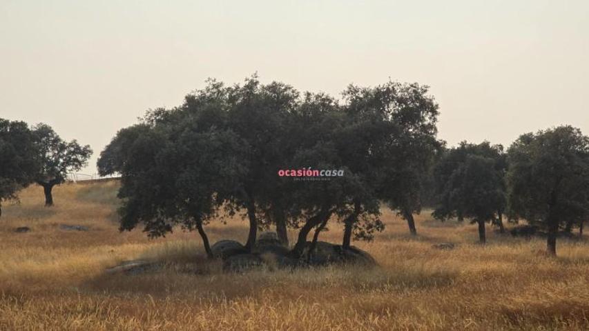 Chalet en venta en Torrecampo, Andalucia photo 0