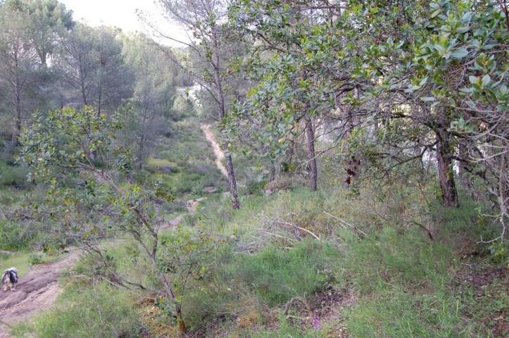 Terreno en venta en Córdoba, Trassierra - Las Jaras photo 0