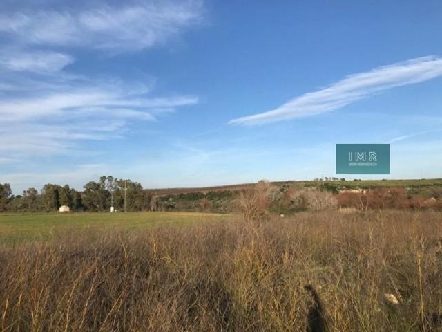 Terreno en venta en Pilas, JUNTO AL PABELLON photo 0