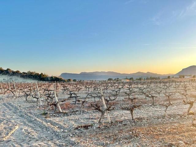 Terreno en venta en Novelda, BETIES photo 0